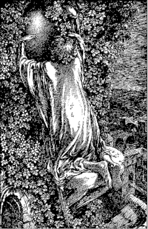 searching wisdom in the woods...